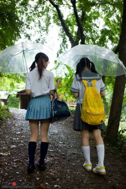 日本野花视频在线观看